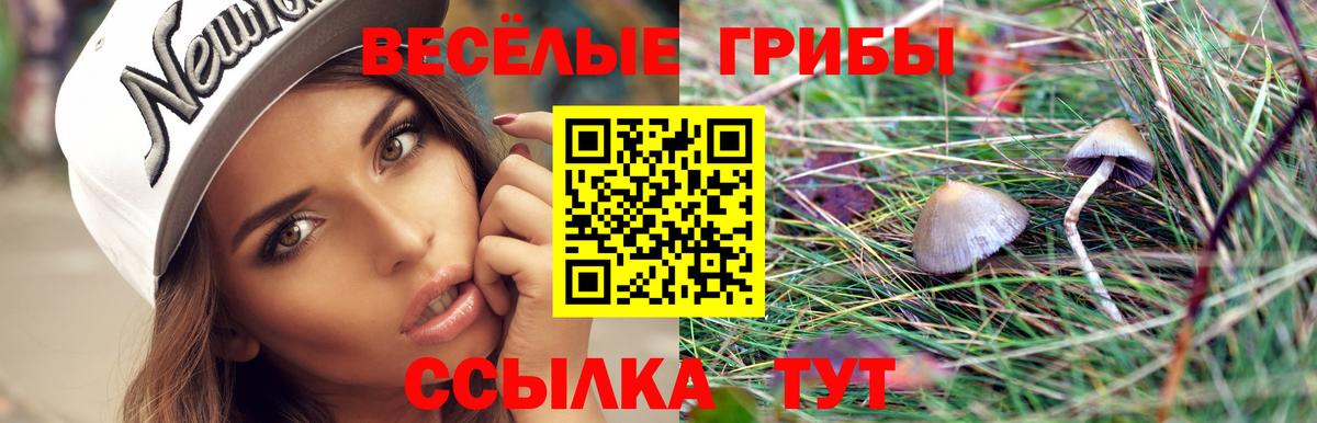 Псилоцибиновые грибы мухоморы Ульяновск