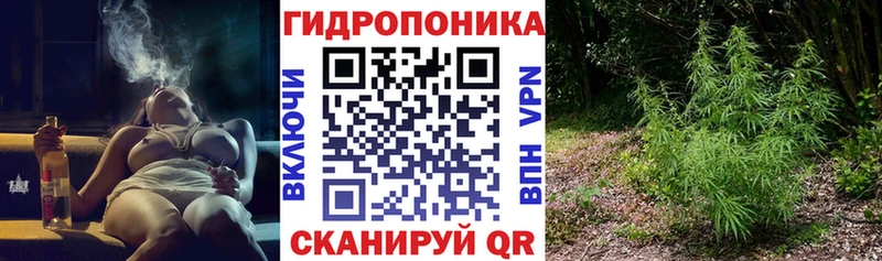 где купить наркоту Ульяновск Шишки марихуана VHQ